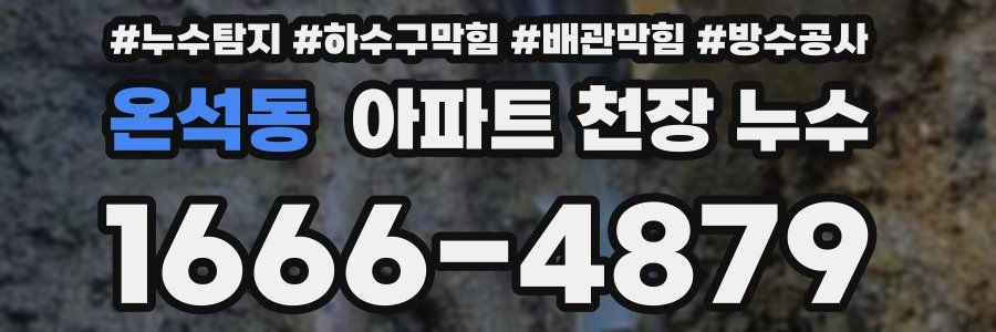온석동 아파트 천장 누수