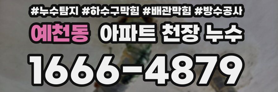 예천동 아파트 천장 누수
