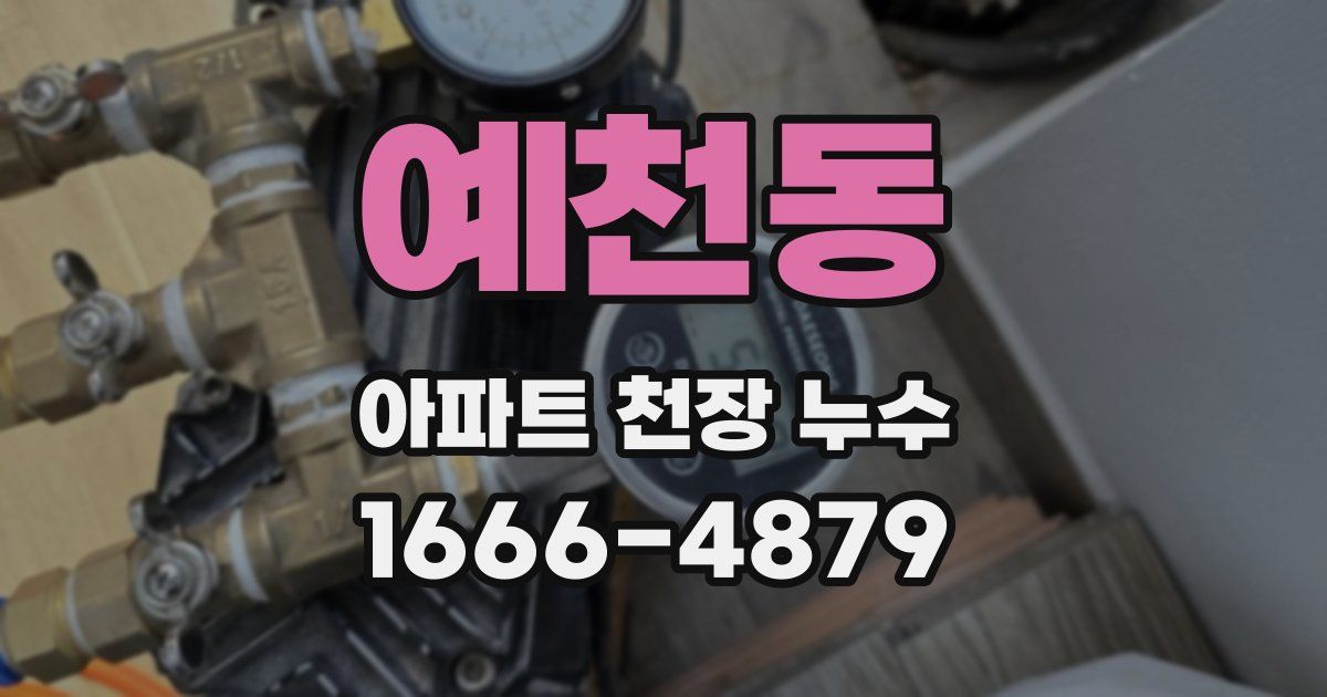 예천동 아파트 천장 누수