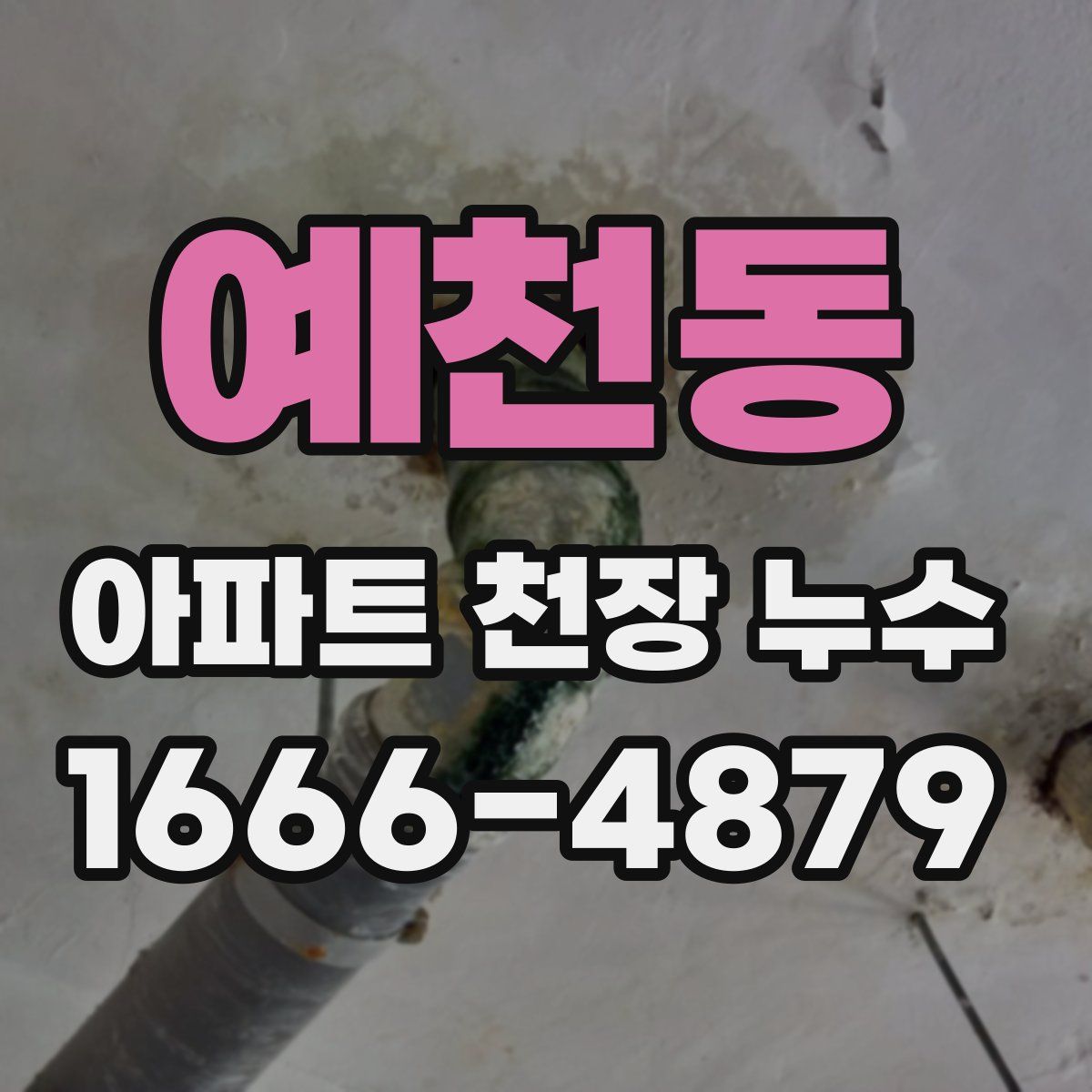예천동 아파트 천장 누수