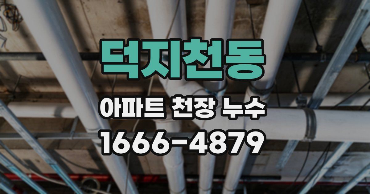덕지천동 아파트 천장 누수