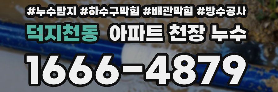 덕지천동 아파트 천장 누수