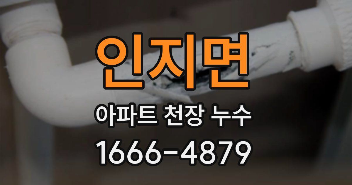 인지면 아파트 천장 누수