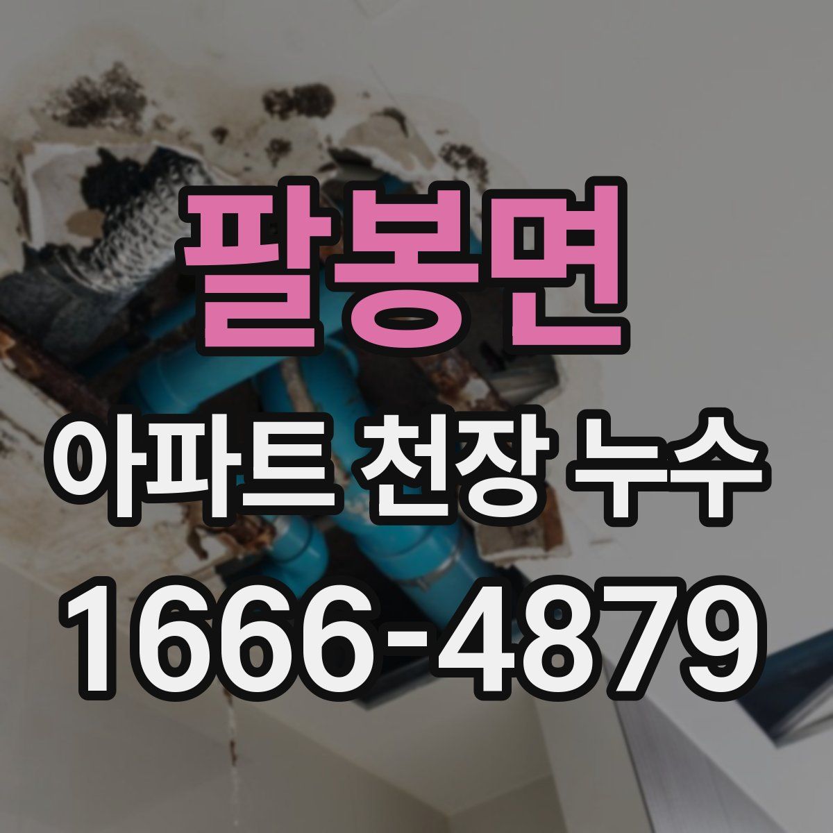 팔봉면 아파트 천장 누수