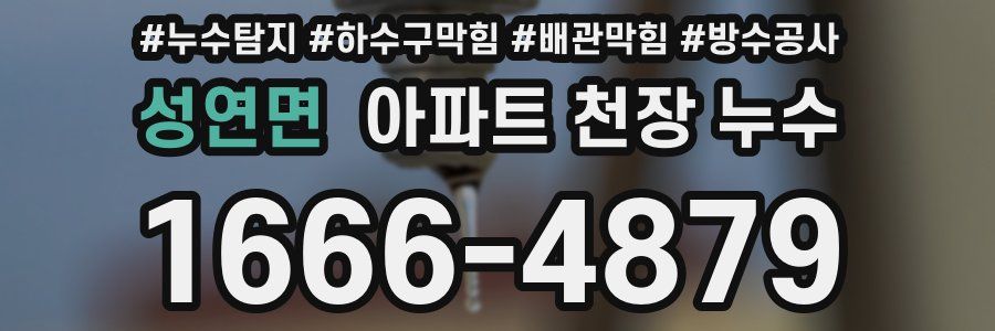 성연면 아파트 천장 누수