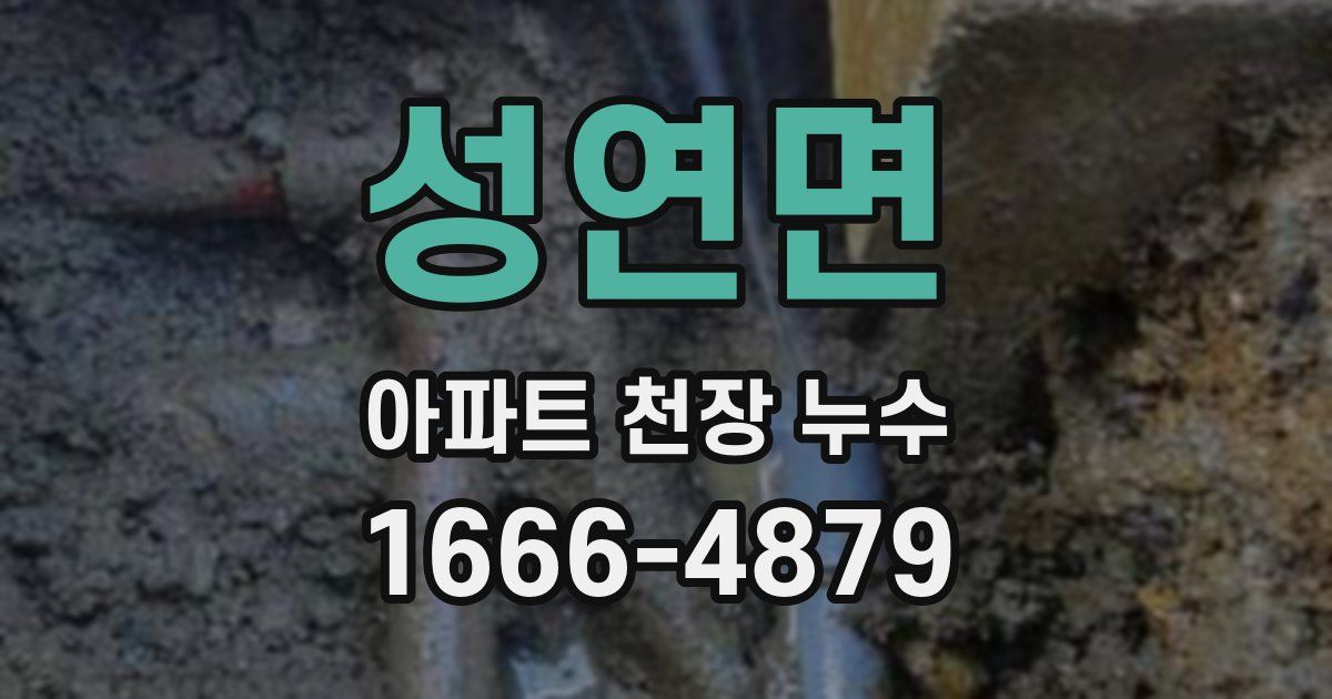 성연면 아파트 천장 누수