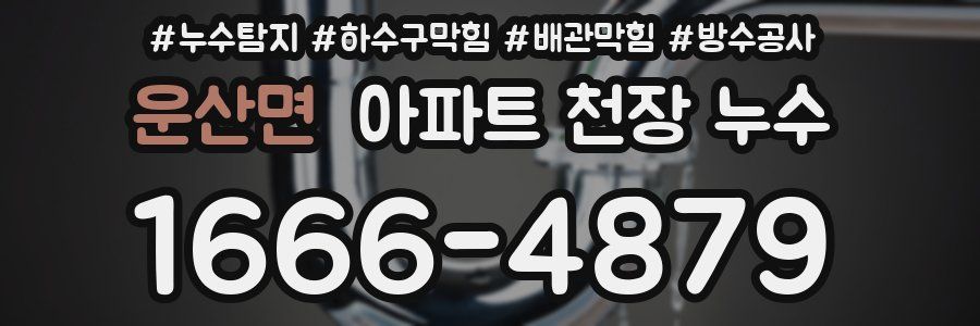 운산면 아파트 천장 누수
