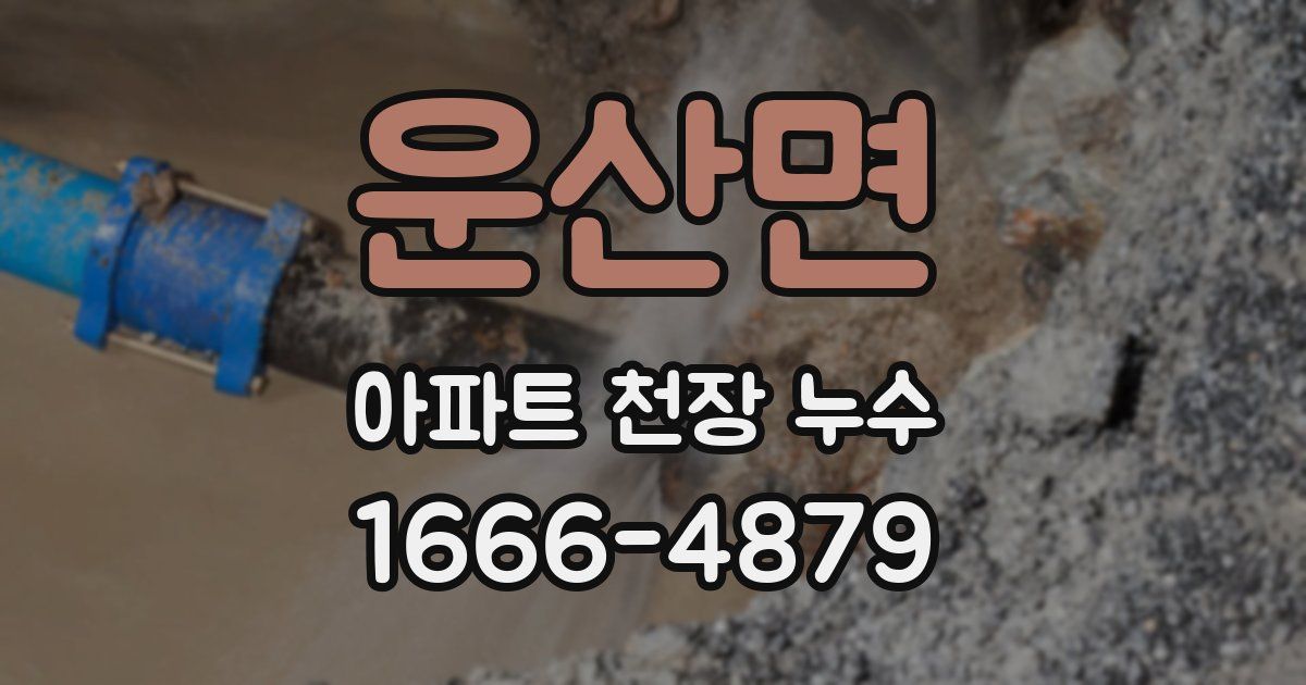 운산면 아파트 천장 누수
