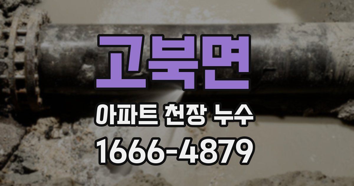 고북면 아파트 천장 누수