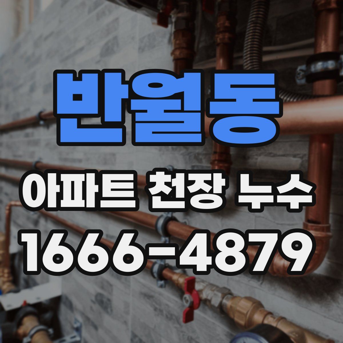 반월동 아파트 천장 누수