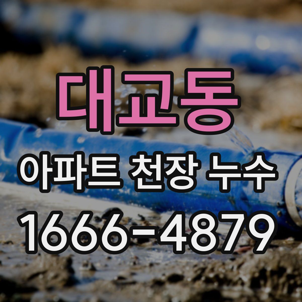 대교동 아파트 천장 누수