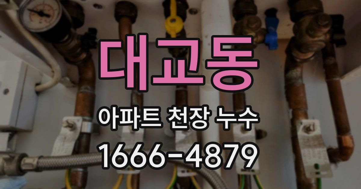 대교동 아파트 천장 누수
