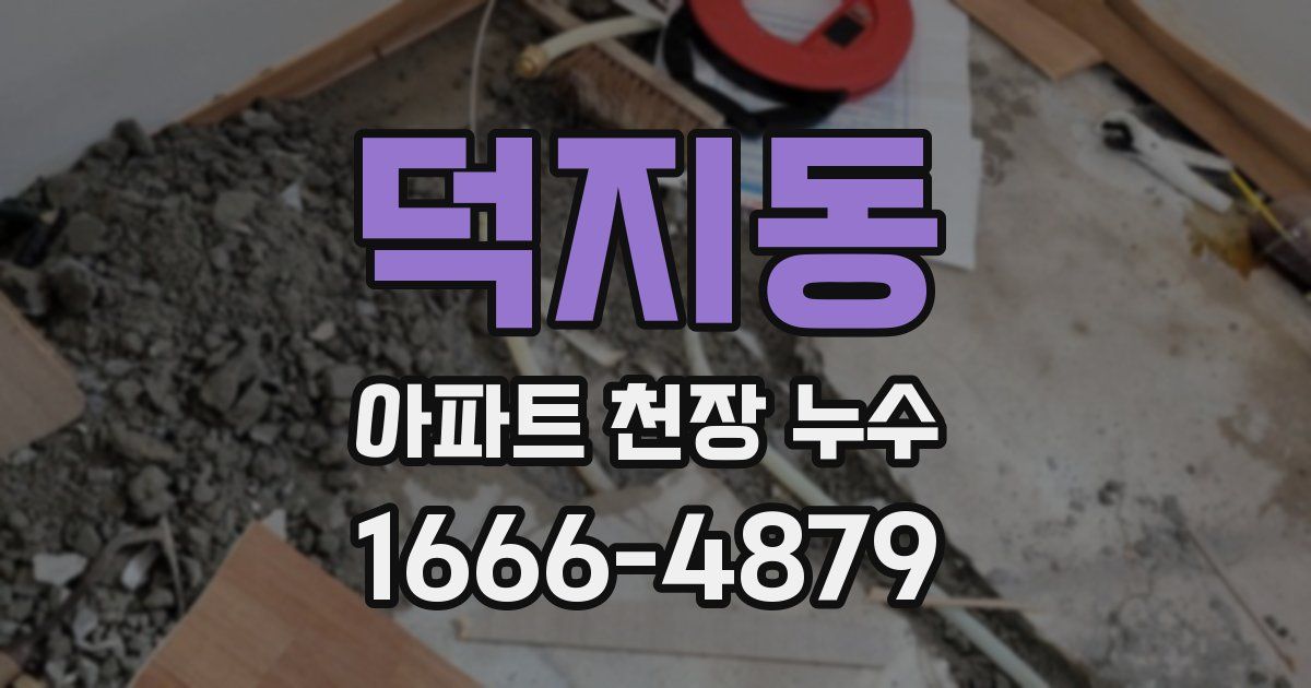 덕지동 아파트 천장 누수