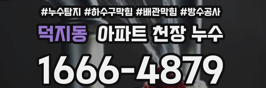 덕지동 아파트 천장 누수