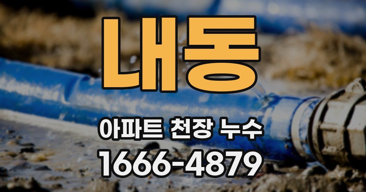내동 아파트 천장 누수