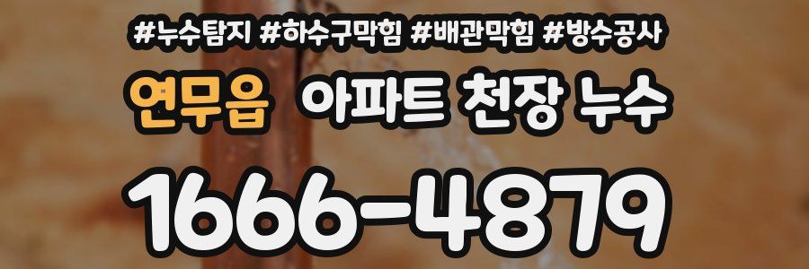 연무읍 아파트 천장 누수
