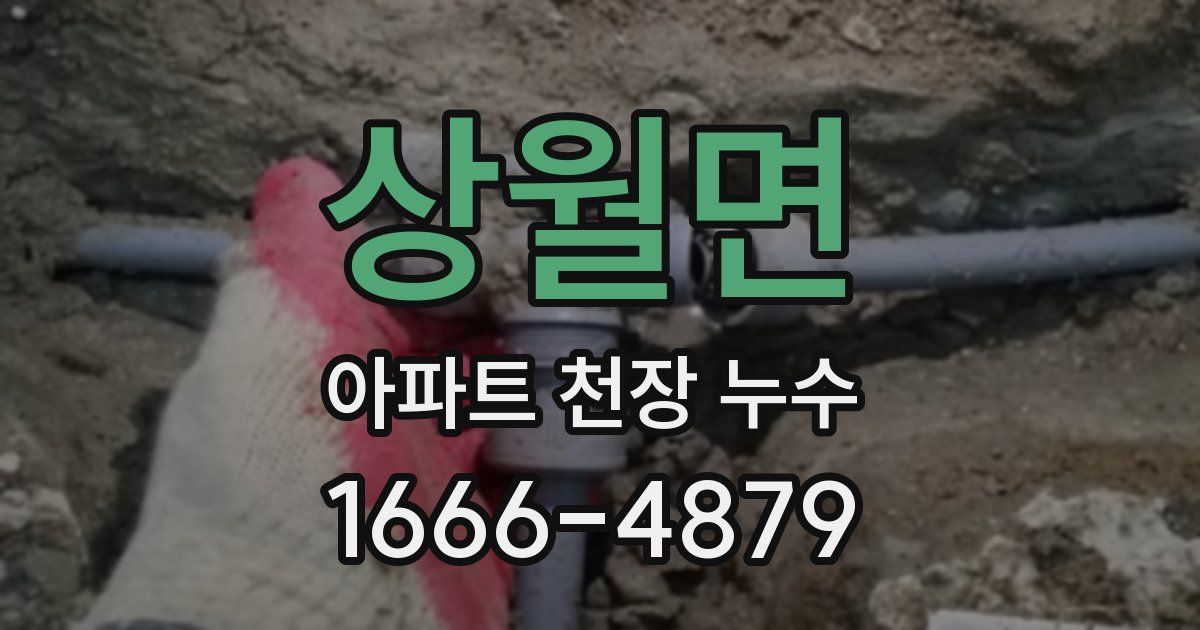 상월면 아파트 천장 누수