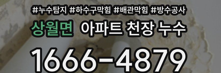 상월면 아파트 천장 누수