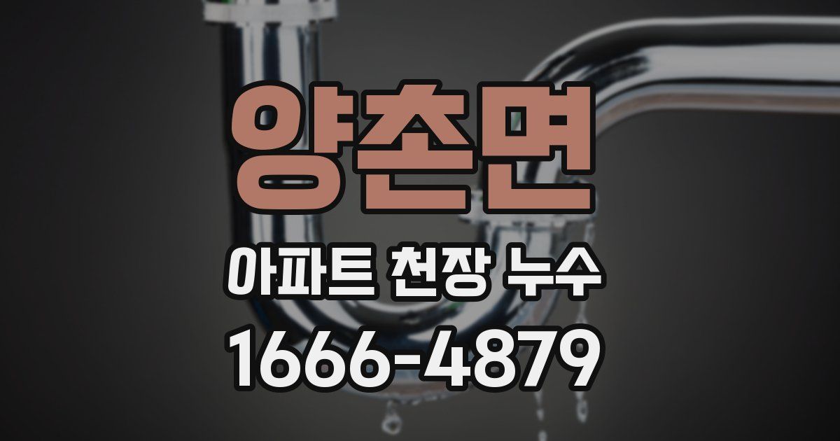 양촌면 아파트 천장 누수