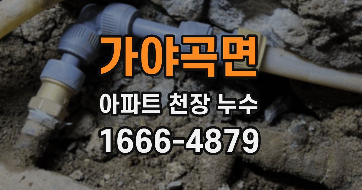 가야곡면 아파트 천장 누수