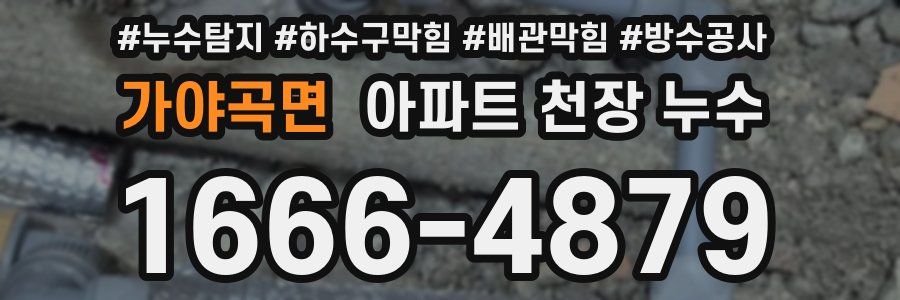 가야곡면 아파트 천장 누수