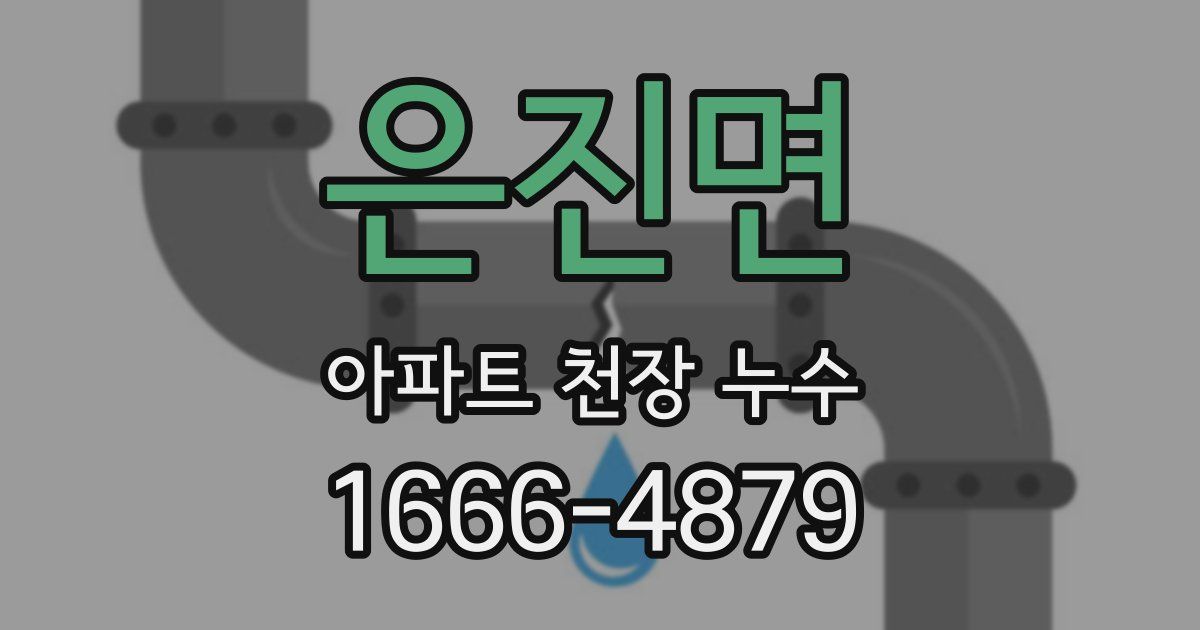 은진면 아파트 천장 누수