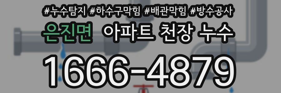 은진면 아파트 천장 누수