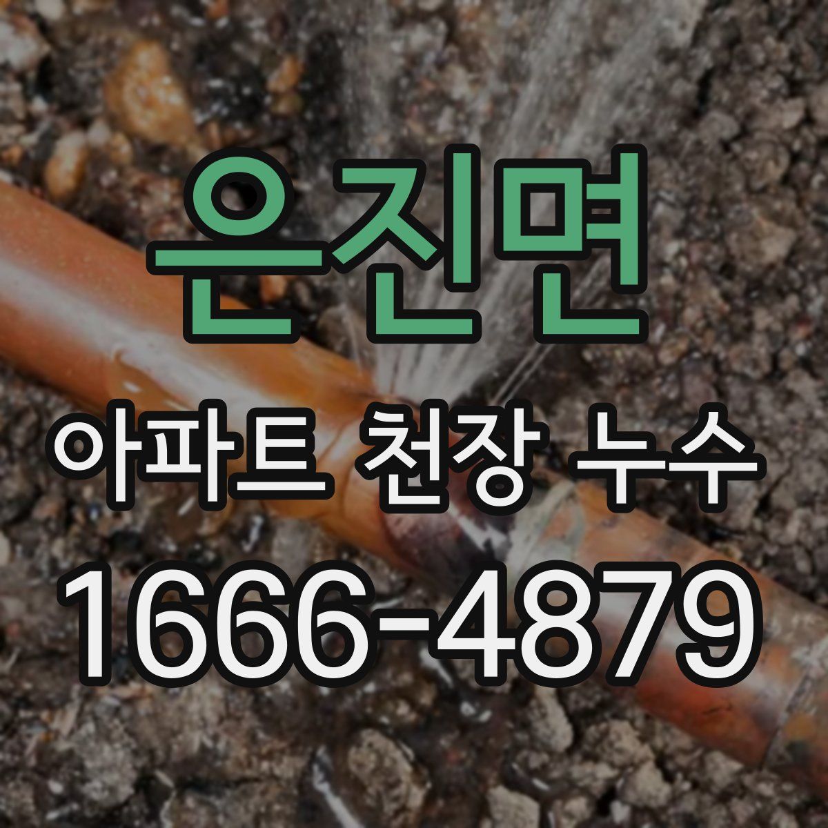 은진면 아파트 천장 누수
