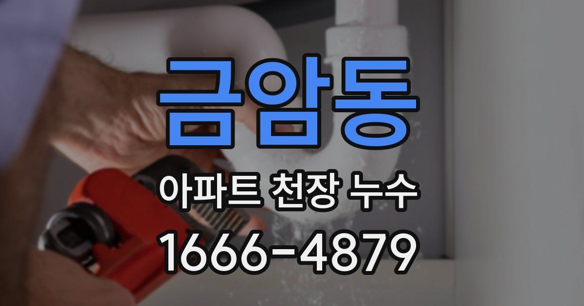금암동 아파트 천장 누수