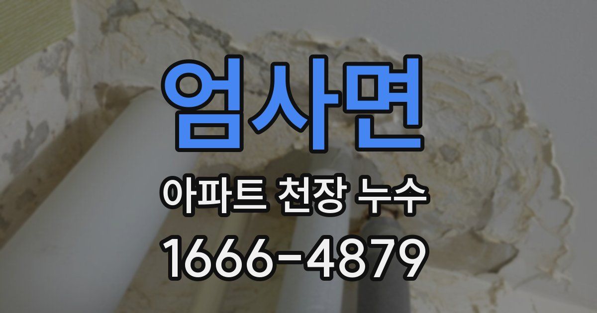 엄사면 아파트 천장 누수