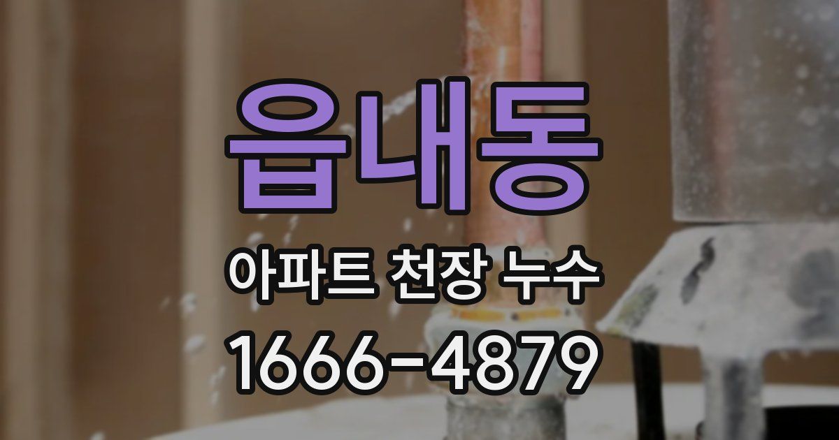 읍내동 아파트 천장 누수
