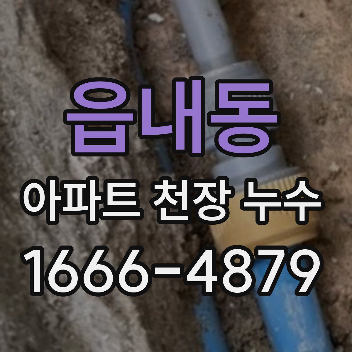 읍내동 아파트 천장 누수