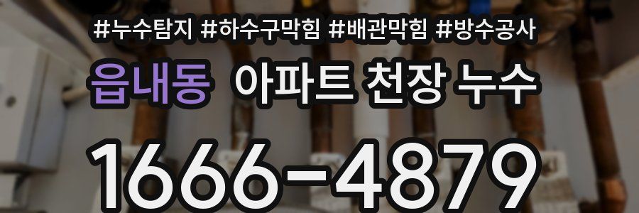 읍내동 아파트 천장 누수
