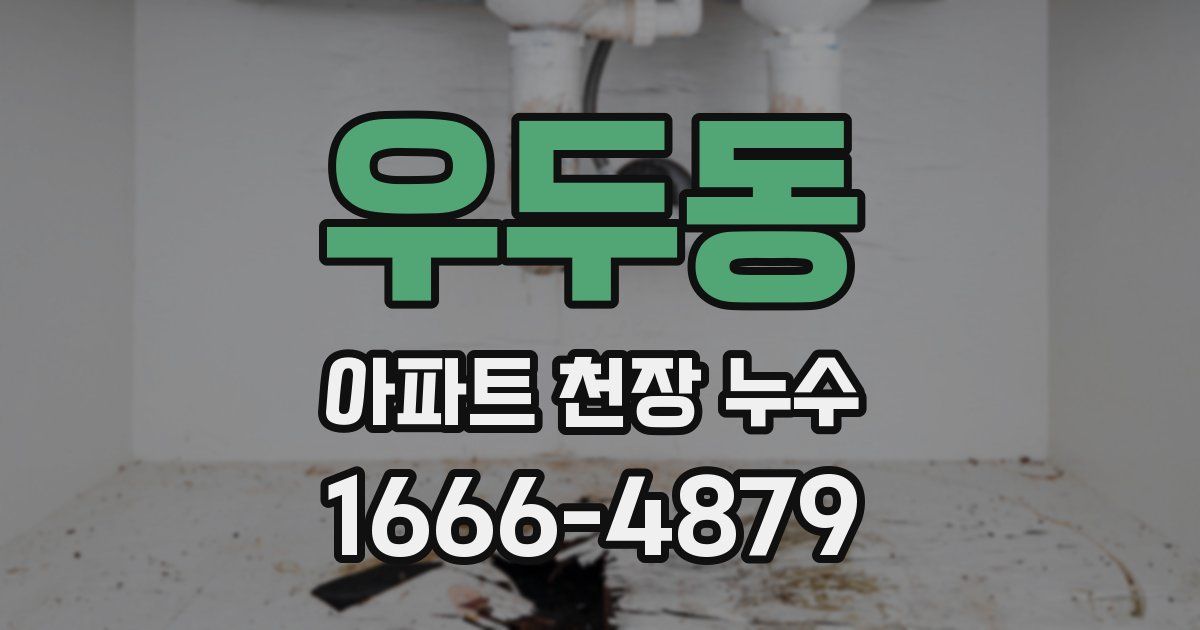 우두동 아파트 천장 누수
