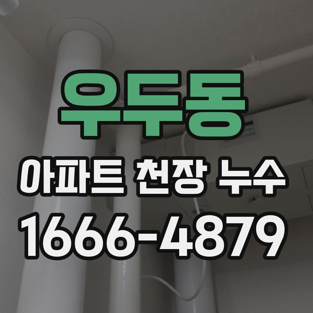 우두동 아파트 천장 누수