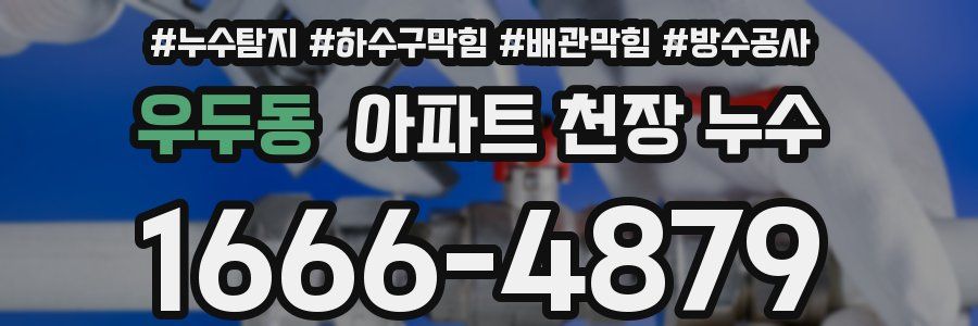 우두동 아파트 천장 누수