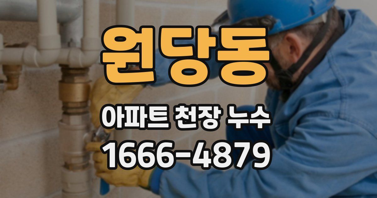 원당동 아파트 천장 누수