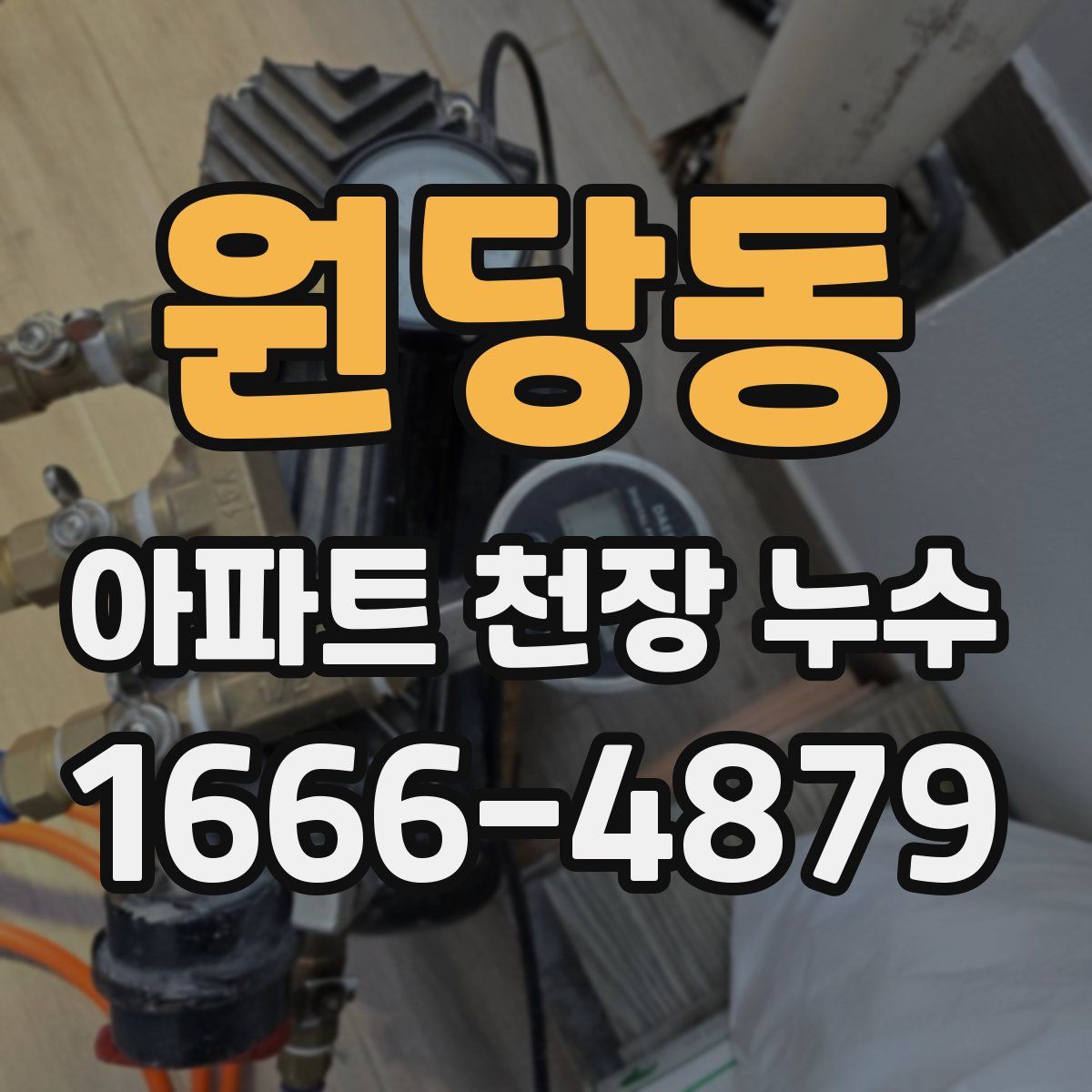 원당동 아파트 천장 누수