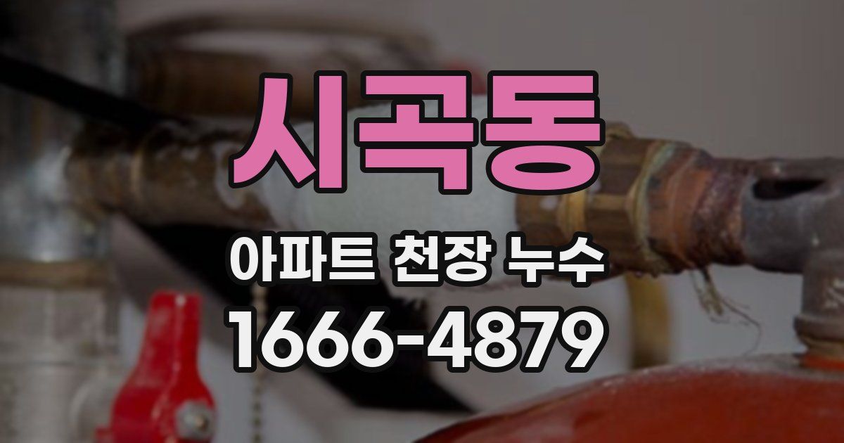시곡동 아파트 천장 누수