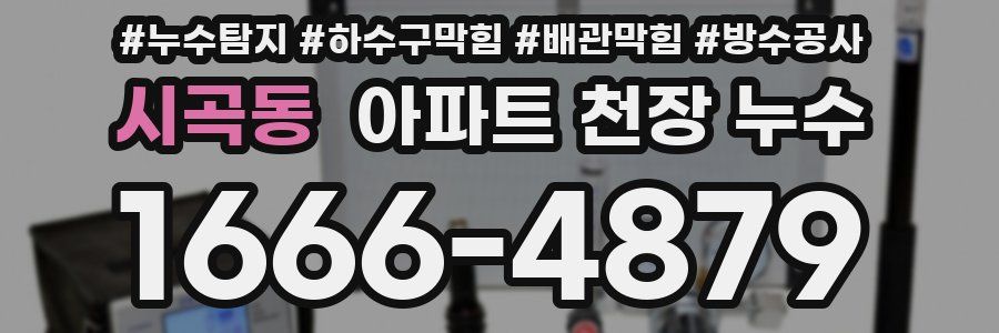 시곡동 아파트 천장 누수