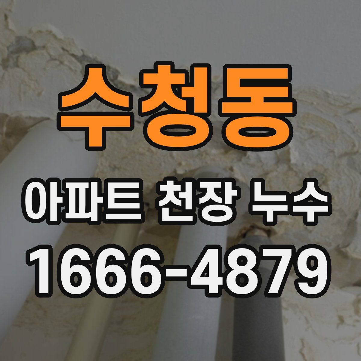 수청동 아파트 천장 누수