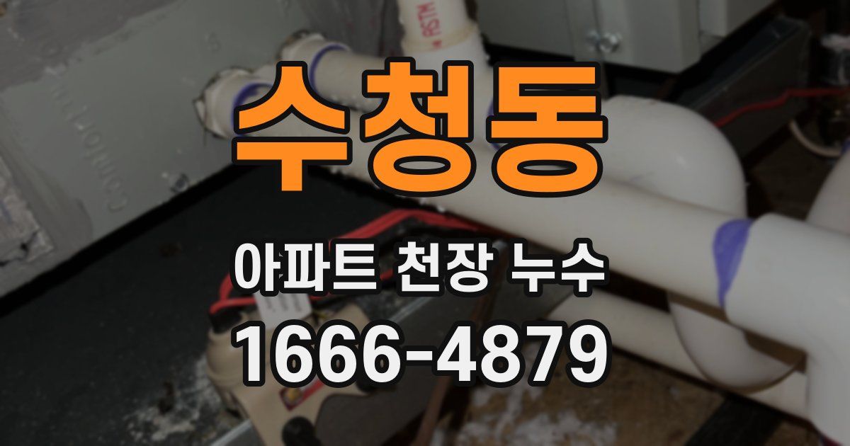 수청동 아파트 천장 누수