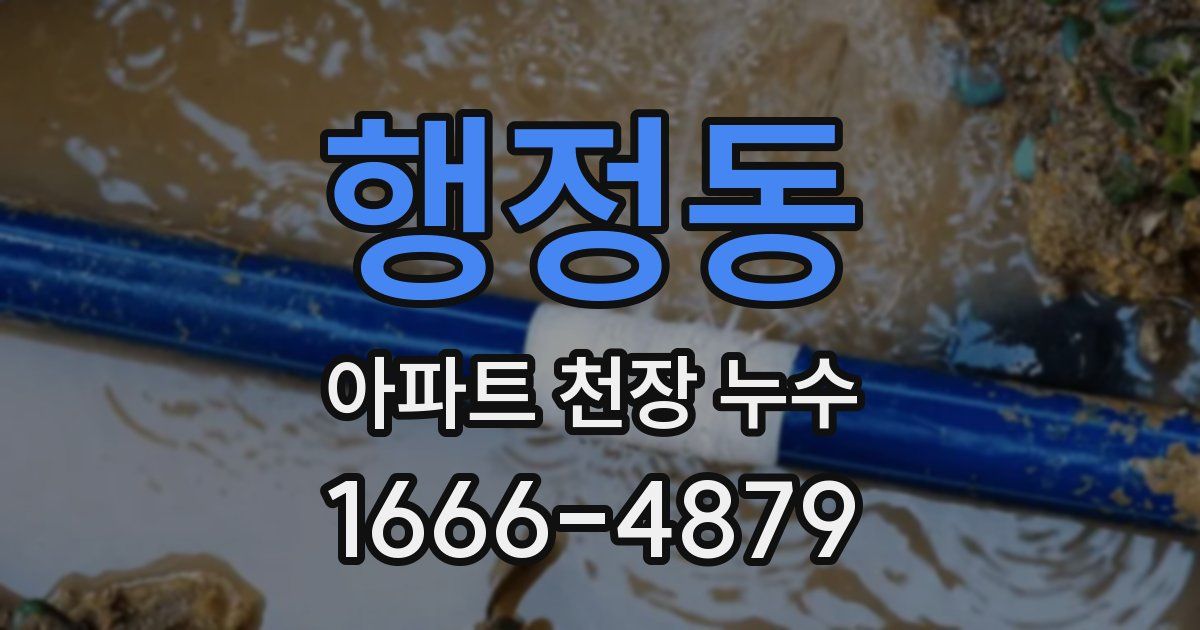 행정동 아파트 천장 누수