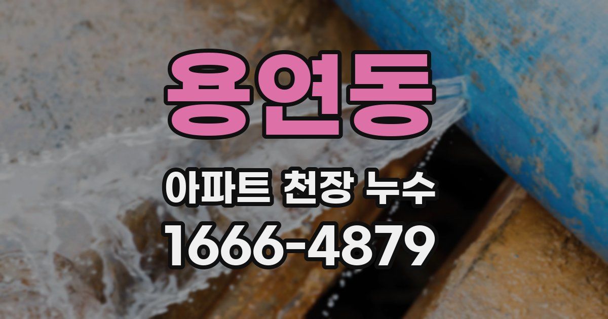 용연동 아파트 천장 누수