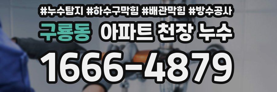 구룡동 아파트 천장 누수