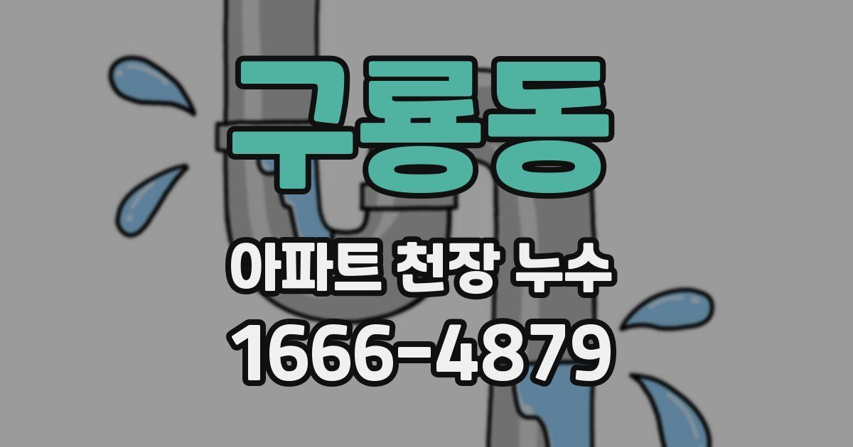 구룡동 아파트 천장 누수