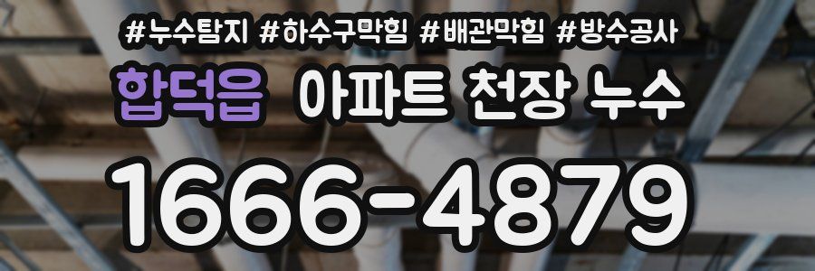 합덕읍 아파트 천장 누수