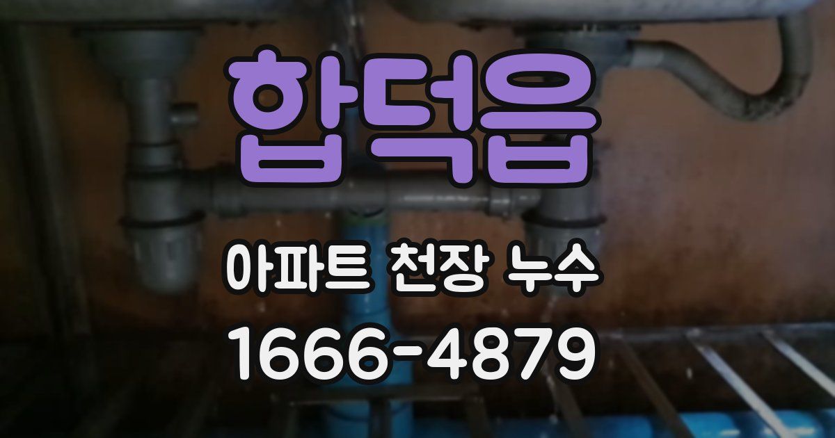 합덕읍 아파트 천장 누수