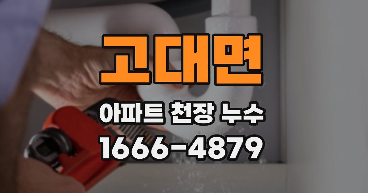 고대면 아파트 천장 누수