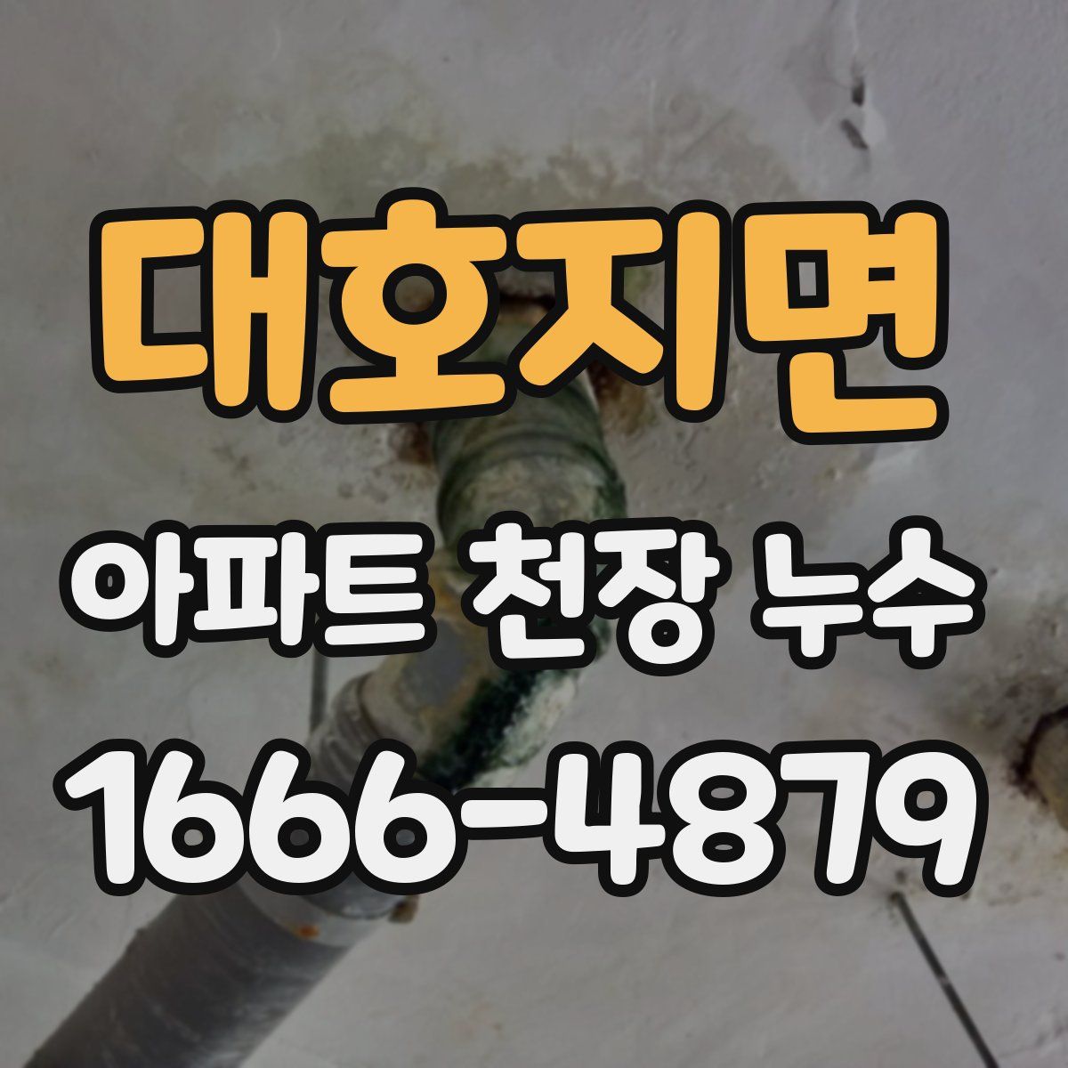 대호지면 아파트 천장 누수